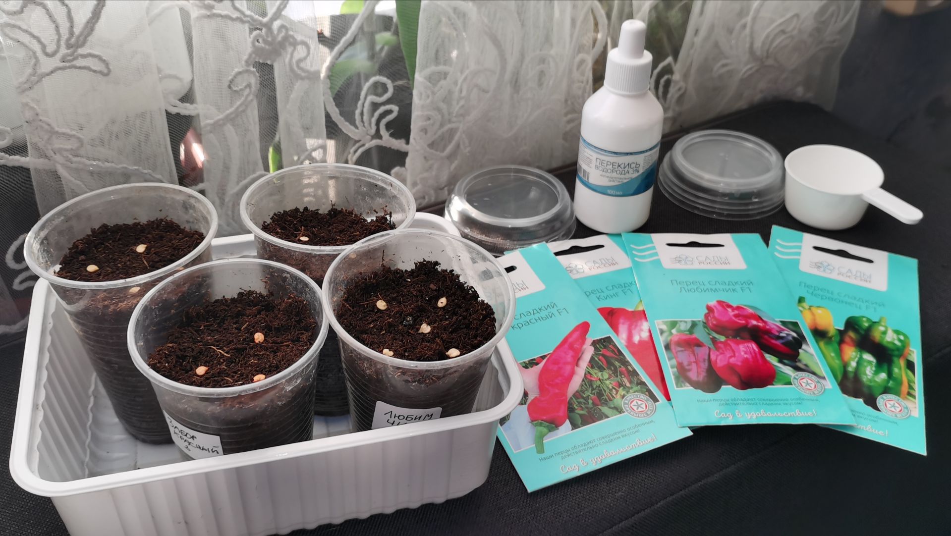 Сеем перцы на рассаду Сезон 2026 для прищипки! Обзор покупок для огорода. смотреть онлайн