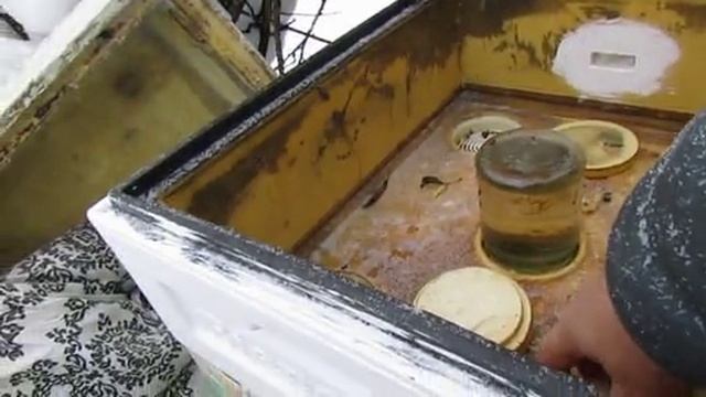 февраль, контролирую зимовку пчел Элгон, для выращивания трутня в новом сезоне , 7.02.2026 смотреть онлайн