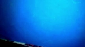 Моя коллекция Лего Майнкрафт