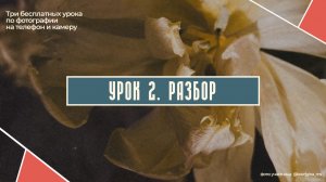 РАЗБОР ВТОРОГО БЕСПЛАТНОГО УРОКА  ПО ФОТОГРАФИИ