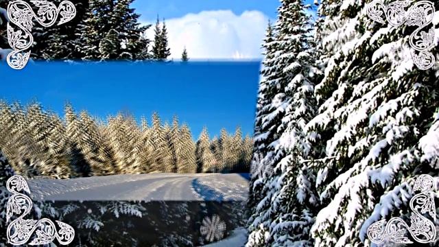 Зимний лес 1!!! Русская народная сказка от Киностудии Мудрого Кота Тимофея! смотреть онлайн