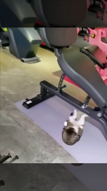 Готовимся к выходным 👋