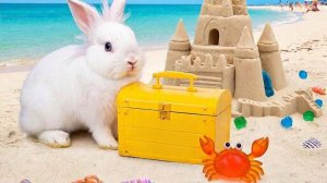 Лето начинается! 🏖️ Строим замок из песка и ловим крабов! 🦀