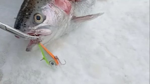 Поимки и сходы на Спорт-зоне. Клёвое место Лосиный остров. смотреть онлайн