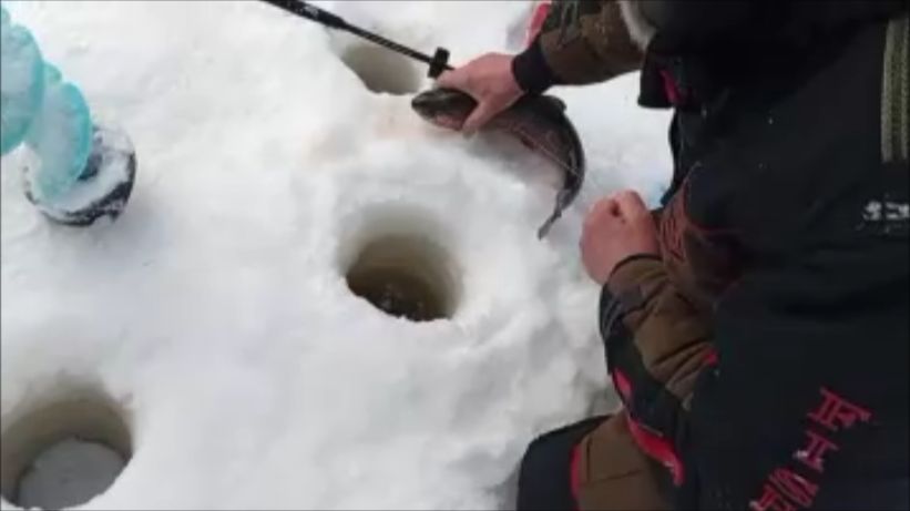 Продолжение рыбалки на спорт-зоне. Клёвое место, Лосиный остров. смотреть онлайн