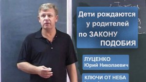 Про Закон Подобия, страхи и рождение детей / Луценко Юрий Николаевич