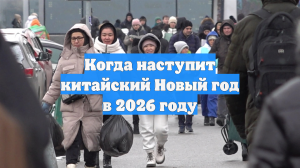 Когда наступит китайский Новый год в 2026 году