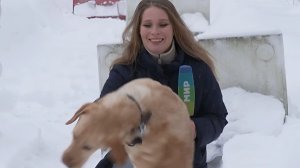 Как собаки помогают людям побороть депрессию и хандру в реабилитационном центре в Липецкой области?