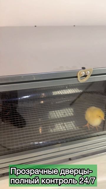 Рамный цифровой брудер 0717 смотреть онлайн