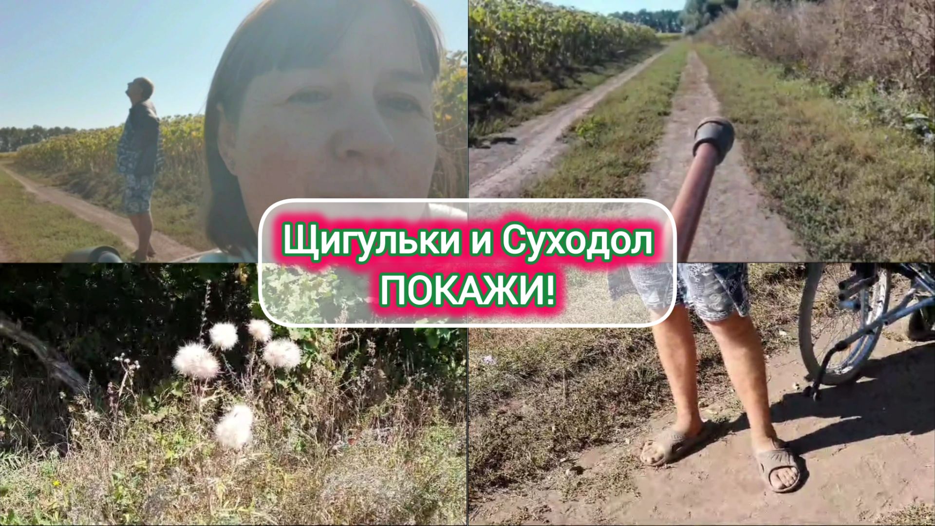 5.09.2024 Прогулка на 👩🦽 коляске!🤭Как ПУШКА!😆Кличка ,,СОСОК,,😳Электропастух!💢
