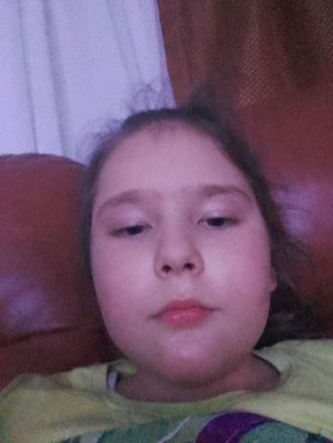 лабиринт для собак