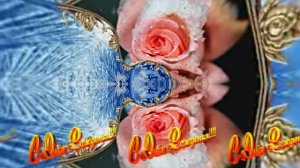 С Днём Рождения! Зимняя Сказка из Роз 3 от Киностудии Мудрого Кота Тимофея!!!