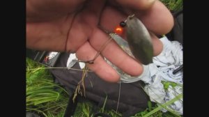 Спиннинг.Лето.Жара.Блёсна вертушки.