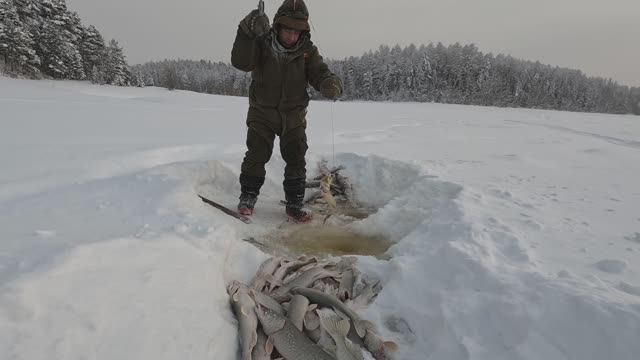 Три дня в тайге: соболь, лось и жадная щука! Проверка путика и рыбалка. смотреть онлайн