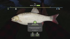 🔴Отдыхаю на РЫБАЛКЕ