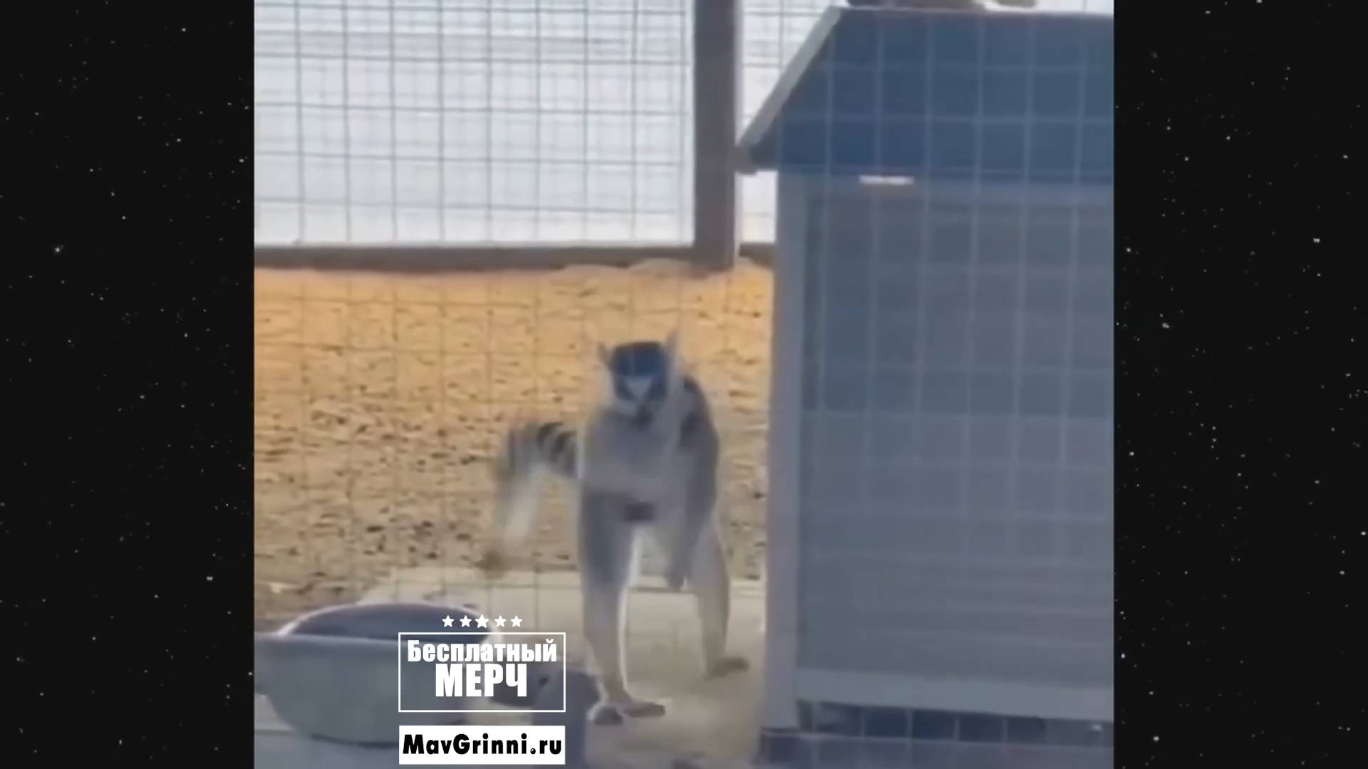 ЭТО БЕЗУМИЕ! Угарная подборка приколов НЕ ПЕЙТЕ ВОДУ ПЕРЕД ПРОСМОТРОМ!Ржака!Лол!Топ Смех Видео №7028 ЭТО БЕЗУМИЕ! Угарная подборка приколов НЕ ПЕЙТЕ ВОДУ ПЕРЕД ПРОСМОТРОМ!Ржака!Лол!Топ Смех Видео №7028