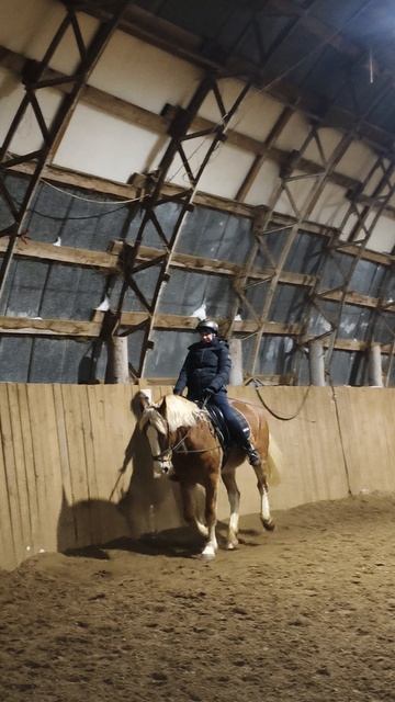 Анна и Каспер, галоп по стенке в манеже.