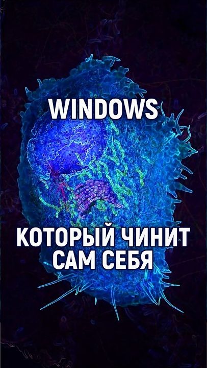 98 ДНК — это не мусор, а операционная система клетки, но исходный код неизвестен