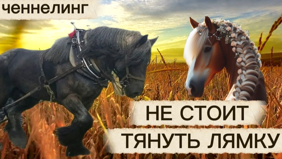 Ченнелинг Наили Богдановой НЕ ТЯНИ ЛЯМКУ смотреть онлайн