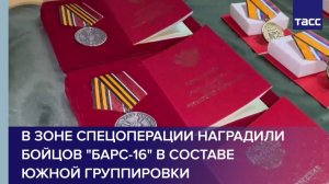 В зоне спецоперации наградили  бойцов "БАРС-16" в составе Южной группировки