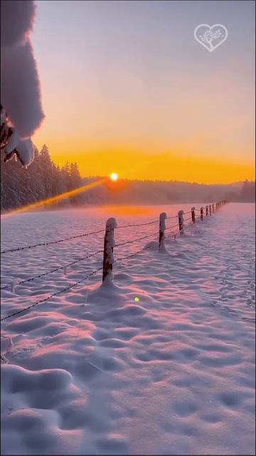 Морозный закат 🌄❄️