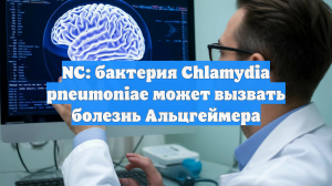 NC: бактерия Chlamydia pneumoniae может вызвать болезнь Альцгеймера