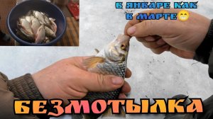 Рыбалка на реке Оке. безмотылкой. Подкормил, поставил новую мормышку и понеслось. камерун 2025