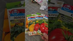 Лучшие низкорослые томаты сезона 2026