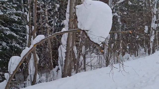 феаральский бег.
бегу как могу феаральский бег.
бегу как могу