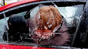 NEW! FailArmy. Best Fails of the Week | KAAAABOOOOM!