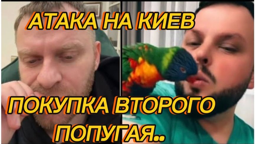 САМВЕЛ АДАМЯН, АТАКА НА КИЕВ, У КОЛИ ПРОПАЛО НАСТРОЕНИЕ, ПОКУПКА ВТОРОГО ПОПУГАЯ..