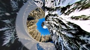 Зимний лес 3!!! Русская народная сказка от Киностудии Мудрого Кота Тимофея