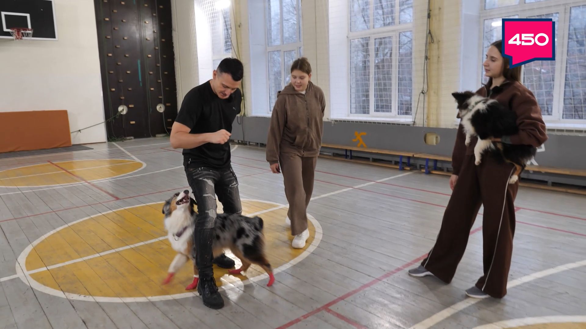 Делаем змейку с собакой 🐶 Делаем змейку с собакой 🐶