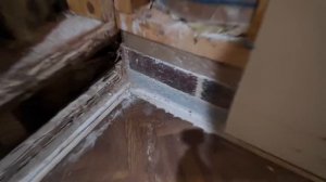 Как ТЕРМИТЫ съедают дома в США