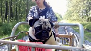 6ec9b03a046411f19684425ed04ad891.mp4