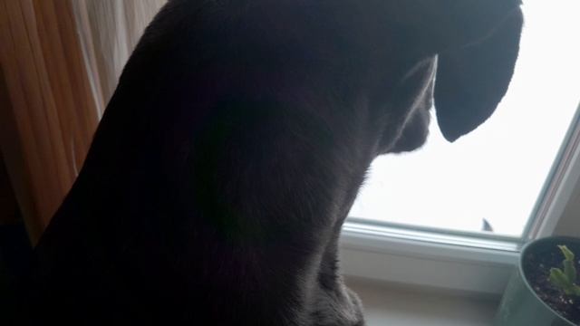 💫💫💫ОХ,ЭТИ ГЛАЗКИ!💫💫💫