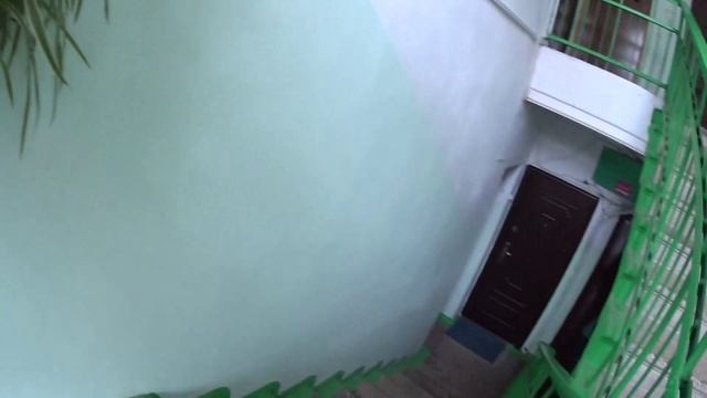 ПТИЧКА НА МЕСТЕ смотреть онлайн