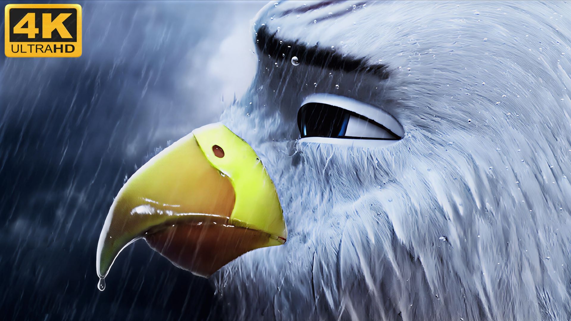 🦅Пернатый патруль🦅(4К Дубляж) смотреть онлайн