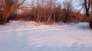 🏡 Прогулка