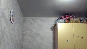 VID_20260206_192133.mp4