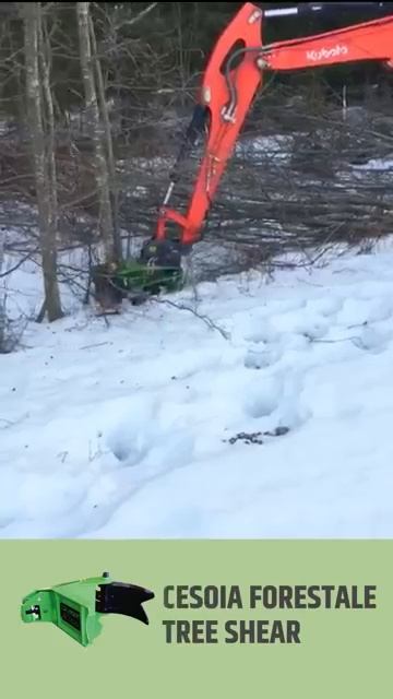 🟢 BI200 @OMEFGROUP Лесорубные валочные ножницы на мини-экскаваторы 2,5-8тн, мини-погрузчики 2,5-6тн