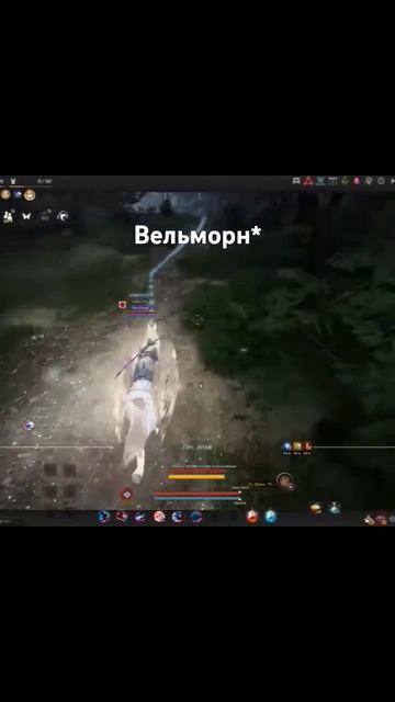 Девочки и их теории😅#vilmarionv #blackdesertonline #bdo #mmorpg #игры #gaming