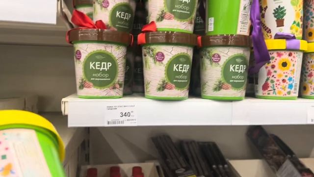 Приехали в Лемана Про — а там уже дачный сезон! Не удержалась 🌱 смотреть онлайн