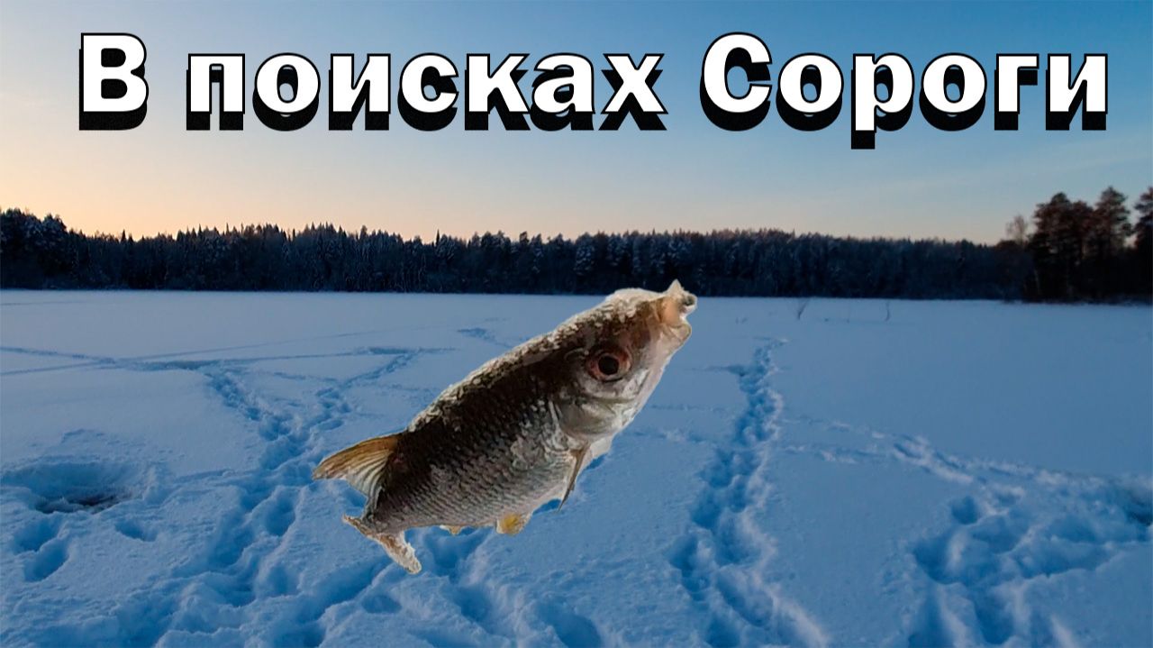 Рыбалка в поисках сороги! Небольшое озеро рядом с городом. Ловля на мормышку.