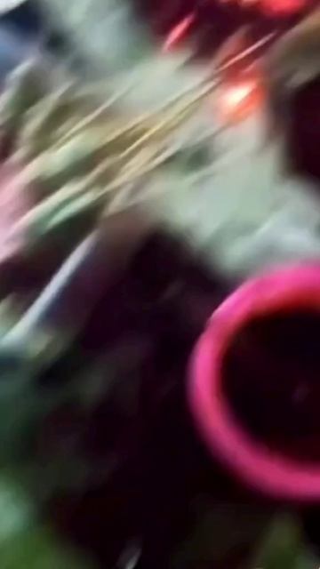 Подборка фейлов