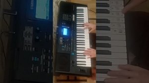 верные друзья. на синтезаторе yamaha psr e473.