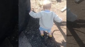 Люблю синий трактор #мультик #аудиодлядетей #никитики