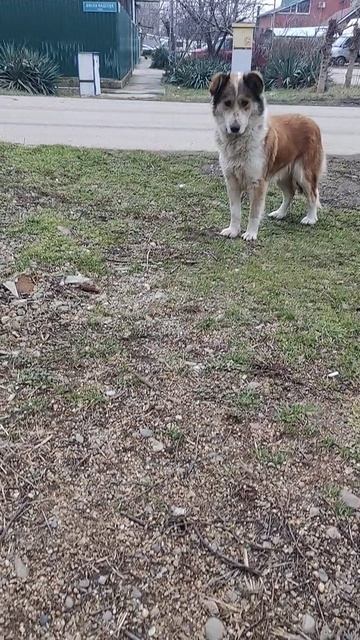 Опачки, красотулечка пришла!