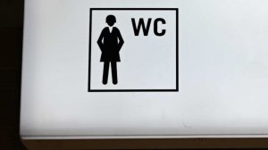 Немецкие хоккеистки не пустили шведок в туалет на зимней Олимпиаде