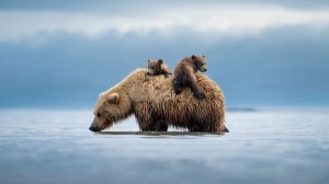 Погружение в мир "Первозданной России". Впечатления от фестиваля.